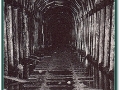 alpinetunnel003