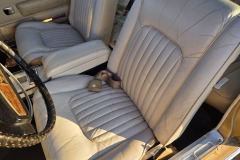 Interior-1G