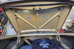 Trunk-1A