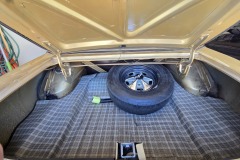 Trunk-1B