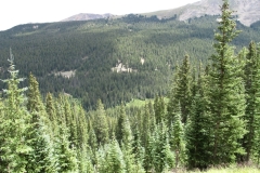 AlpineTunnelEastPortal-2013-16