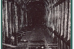 alpinetunnel003